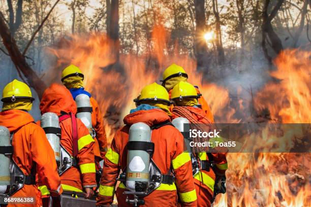 Feuerwehrteam Stockfoto und mehr Bilder von Feuerwehrmann - Feuerwehrmann, Wald, Waldbrand