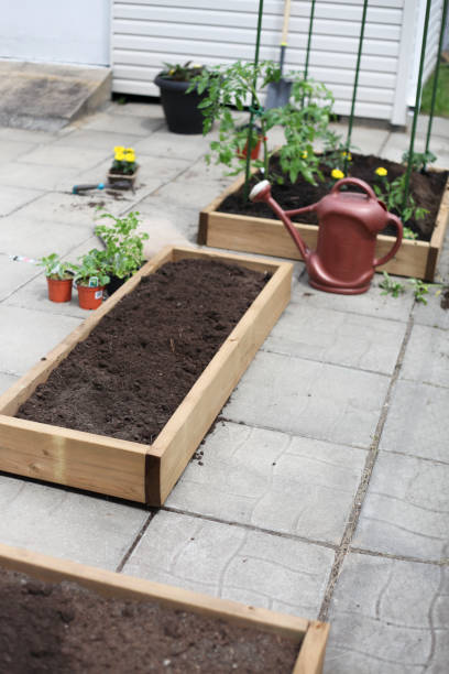 istock Preparing a small vegetable garden in the city. 868988130