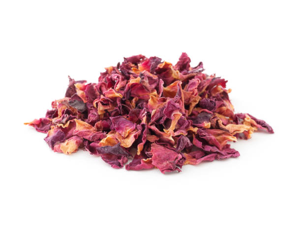 Dry Rose Petals Heap of rose petals for herbal tea isolated on white background pink tea stock pictures, royalty-free photos & images