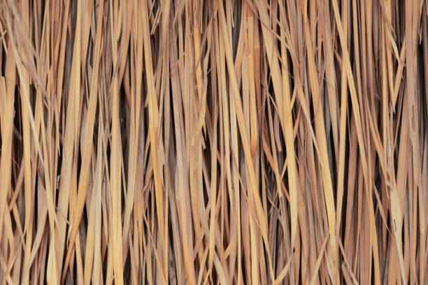 istock the  background of stripe  brown thatch  texture 868997158