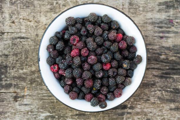 istock Ripe blackberries in rustic bowl on old wooden background. Top view 869012518