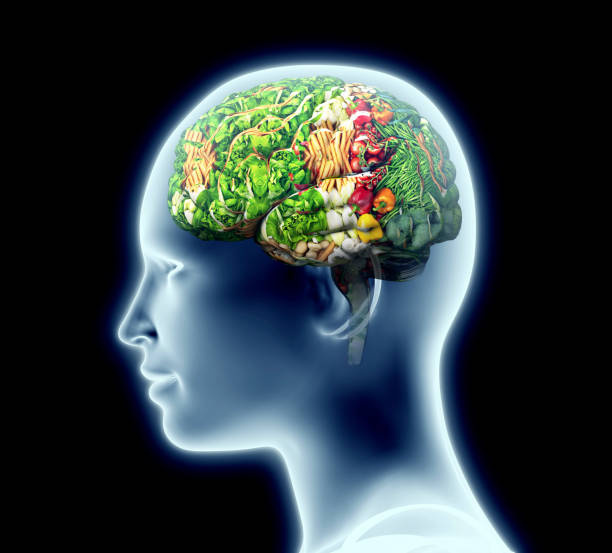 xray of human head with fruit and vegetables for brain. stock photo