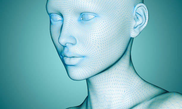 woman face in wireframe lines isolated on white