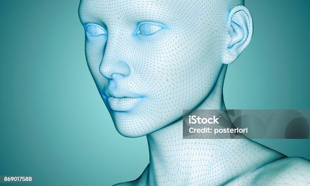 Woman Face In Wireframe Lines Isolated On White Stock Photo - Download Image Now - Three Dimensional, Human Face, Fashion Model