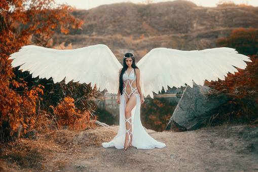 A beautiful white archangel descended from heaven. A girl in a sexy suit with huge white wings. Artistic Photography