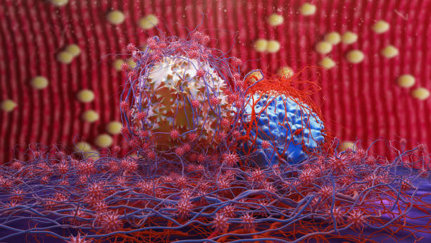 istock Dividing cancer cells 869023804
