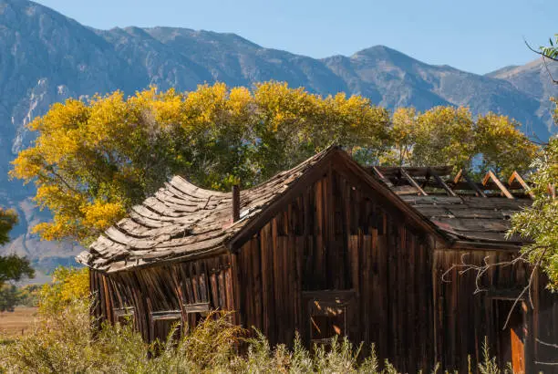 Photo of Old rustic abandoned cabin in cattle pastures near Bishop California and autumn colors backlit against the Sierra Nevada Mountains