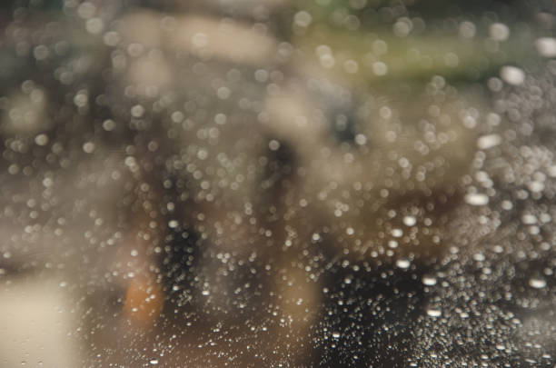 istock Bokeo boise rain nature colors beautiful 869029886