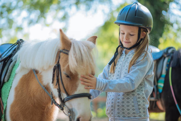 Young girl cuddling her pony horse Kids with their pony horses on dressage. Kids with their personal trainer learn horseback riding. Great recreation for kids age 4 to 7, before they get on the big horses. pony stock pictures, royalty-free photos & images