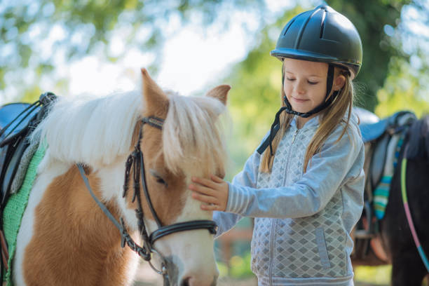 young girl cuddling her pony horse - mounted imagens e fotografias de stock