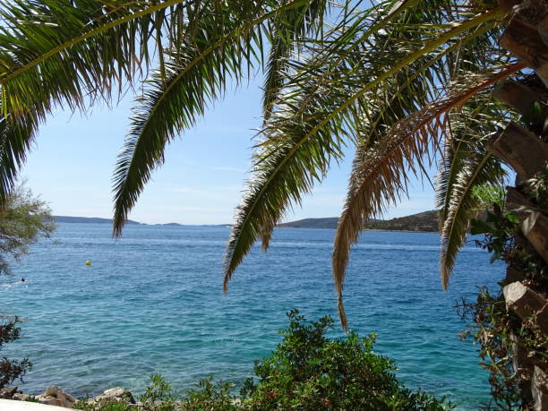 istock SEGET VRANJIKA, CROATIA 869032304