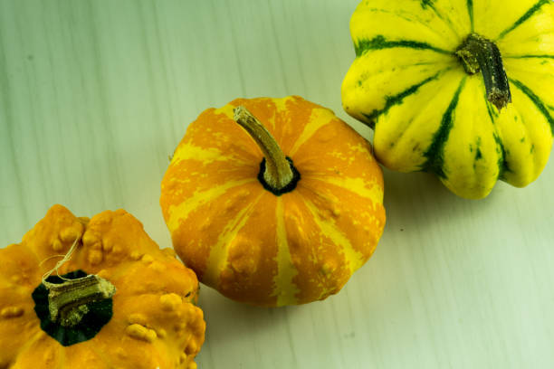 istock many small pumpkins in different colors 869041194