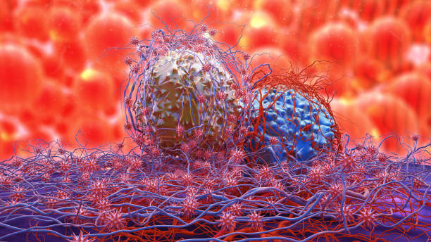 la división de las células cancerosas - human white blood cell fotografías e imágenes de stock