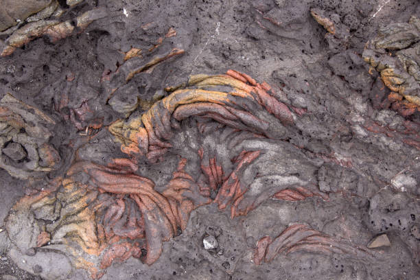 istock Lava field on Bartolome island (Galapagos) (macro) 869049984