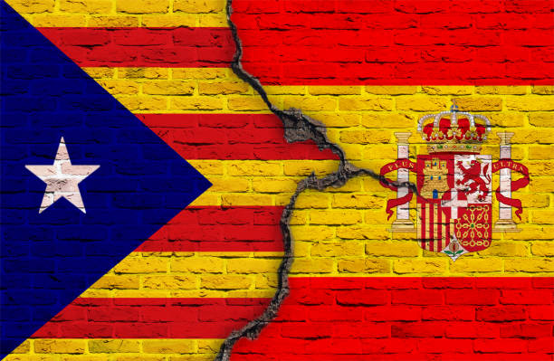 istock Spain Catalan Estelada Flag  painted over brick wall 869054574
