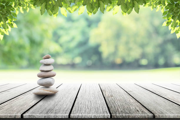 pietre zen su legno vuoto con foglia verde sullo sfondo del giardino sfocato. - perfection nature balance stone foto e immagini stock