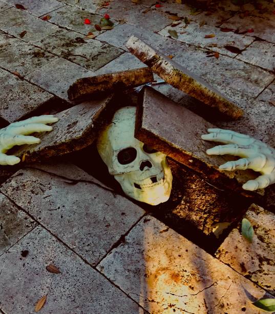 istock Halloween skeleton rising from the pavement 869057012