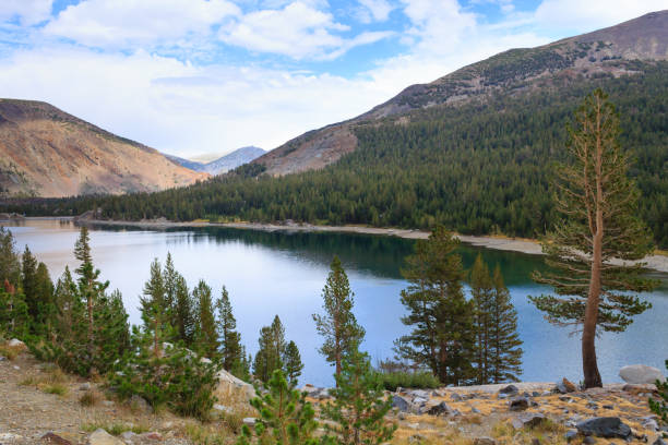 istock Panorama from Yosemite National Park 869068694