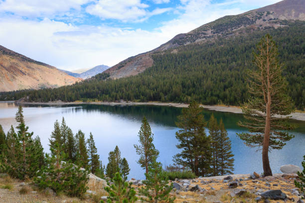 istock Panorama from Yosemite National Park 869069752