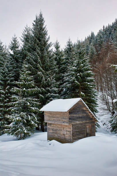 istock Wooden cabin in the winter 869069924