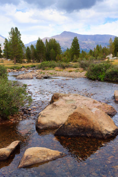 istock Panorama from Yosemite National Park 869070786