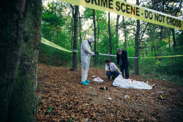 detectives working on murder - forensic science flash imagens e fotografias de stock