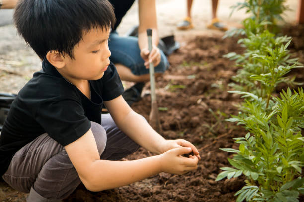 istock A boy sitting to plant trees in the hole with his hands 869074138