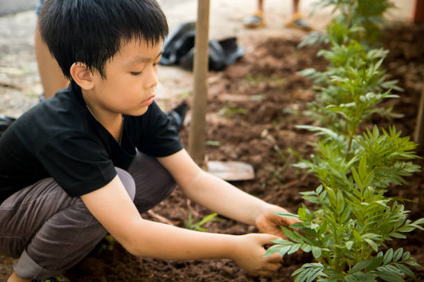 istock A boy sitting to plant trees in the hole with his hands 869074202