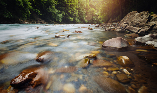 Forest river flow; long exposure, with blurred water.