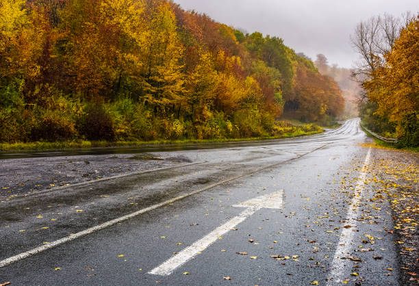 istock wet asphalt road through forest in deep autumn 869077872