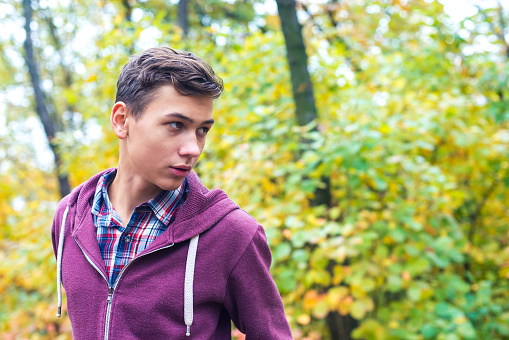 Portrait of a handsome teenage boy in an autumn forest, on a blurred background.