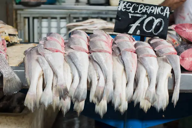 Photo of Fresh fishes (white hake, in Portuguese) typical regional food for sale in famous Ver-o-Peso public market in Belem do Para, Brazil