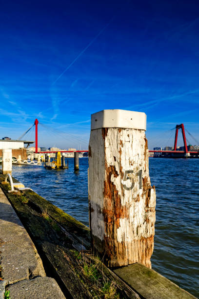 istock bollard with Rotterdam's characteristic Willemsbrug in the background 869094932