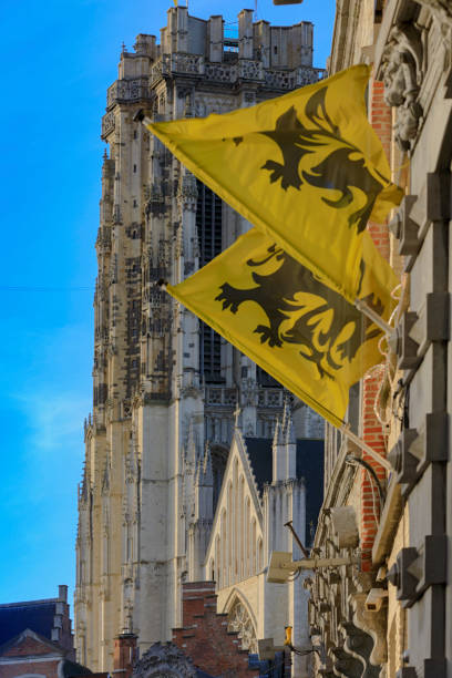 bandeira de flanders, no centro da cidade de mechelen - flamengo - fotografias e filmes do acervo