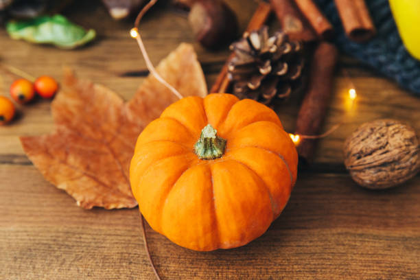 istock Pumpkin over wooden background 869098982