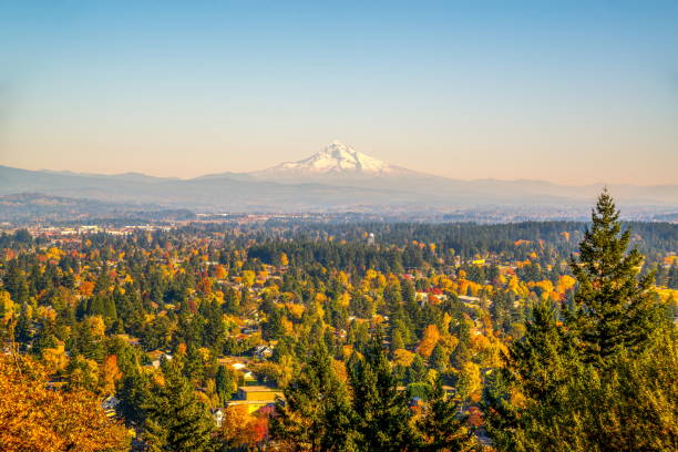 istock Mount Hood from Rocky Butte, Oregon 869099288