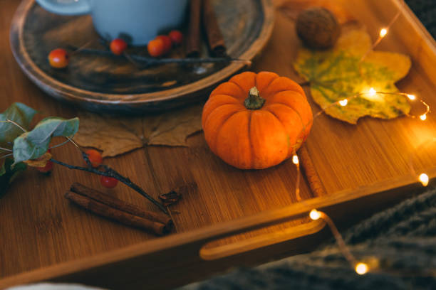 istock Still life with pumpkin