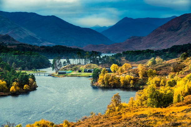 istock Glen Affric, Scottish Highlands 869107894