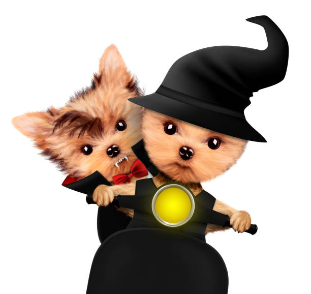 istock Funny Dracula and witch. Halloween and Dead day 869111974