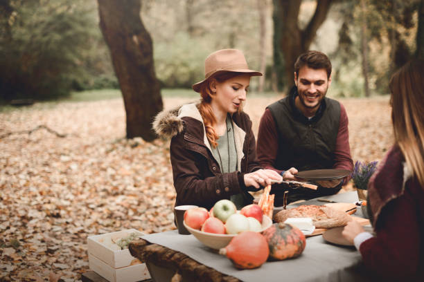 istock Picnic time with friends 869119548