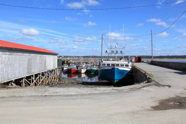 istock Cape Saint Mary , Nova Scotia, Canada. Wharf with boats 869122550