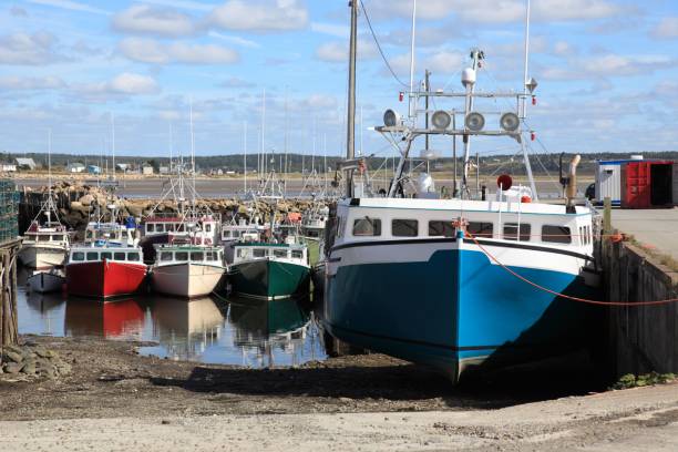 istock Cape Saint Mary , Nova Scotia, Canada. Wharf with boats 869122568