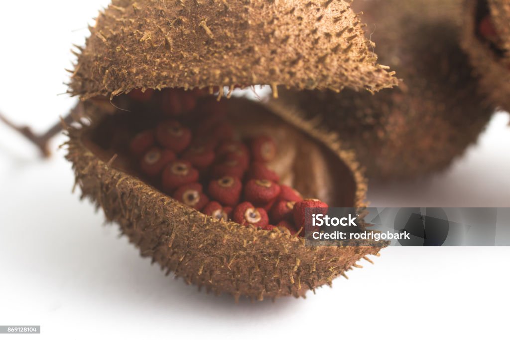 Semillas de achiote de Urucum brasileño - Foto de stock de Achiote libre de derechos