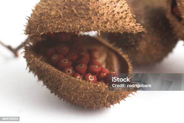 Semillas De Achiote De Urucum Brasileño Foto de stock y más banco de imágenes de Achiote - Achiote, Alimento, Brasil