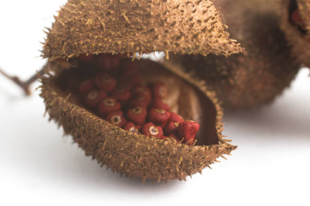 Brazilian Urucum Annatto Seeds isolated on white background