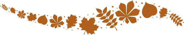 Vector illustration of Banner with brown leaves - panoramic header. Vector.