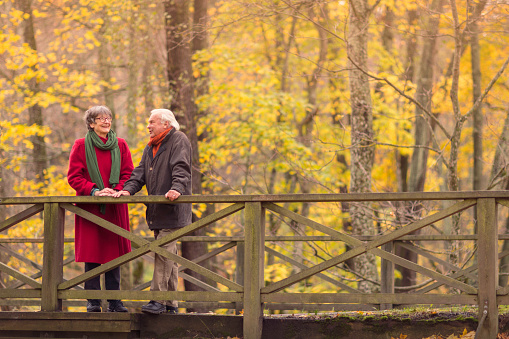 A senior man and woman meet on a bridge in an autumn forest.