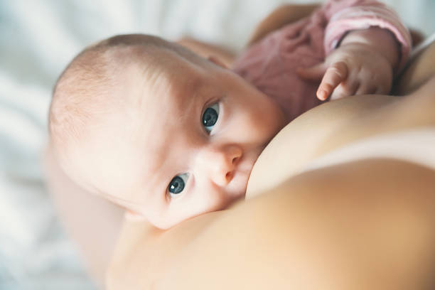bebé comiendo leche materna. la madre amamanta al bebé. - healthy feeding fotografías e imágenes de stock