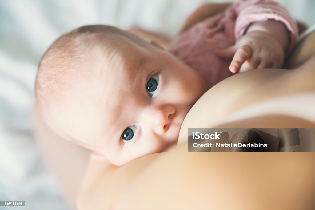 Baby eating mother's milk. Mother breastfeeding baby. Baby eating mother's milk. Mother breastfeeding baby. Beautiful mom breast feeding her newborn child. Young woman nursing and feeding baby. Concept of lactation infant. Breastfeeding Stock Photo