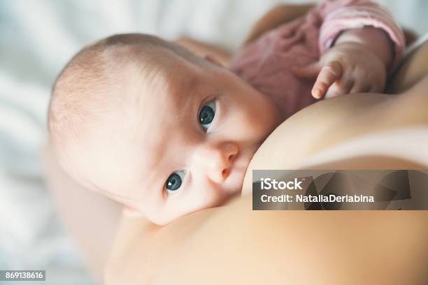 Baby Eating Mothers Milk Mother Breastfeeding Baby Stock Photo - Download Image Now